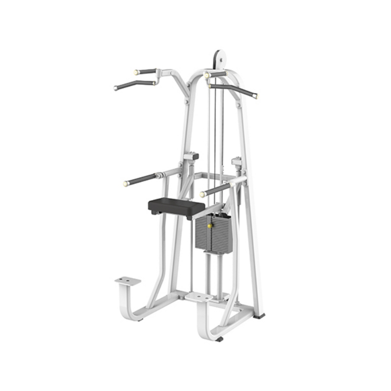 Picture of DIESEL FITNESS EVOST DIP/CHIN ASSIT      - Diesel 